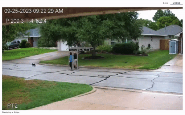 自动追踪调试视图